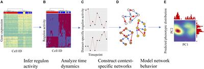 Toward Modeling Context-Specific EMT Regulatory Networks Using Temporal Single Cell RNA-Seq Data